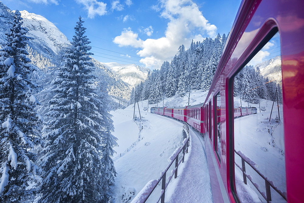 Bernina Express passes through the snowy woods, Filisur, Canton of Grisons (Graubunden), Switzerland, Europe