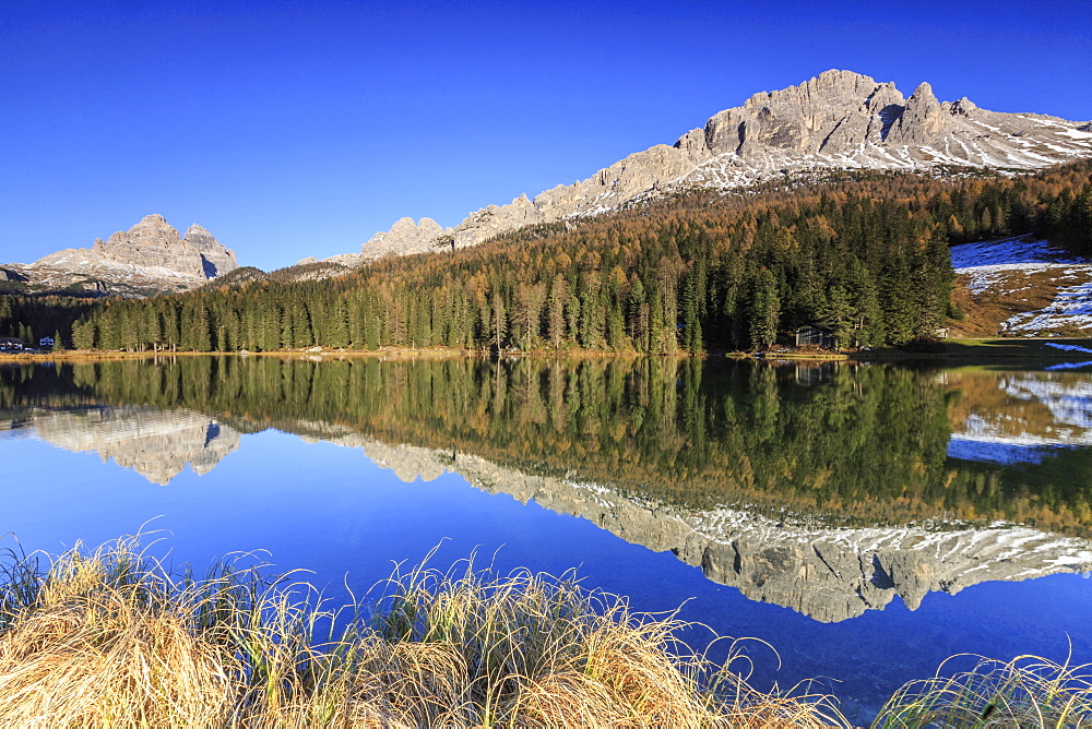 The Three Peaks of Lavaredo and woods reflected in Lake Misurina, Auronzo of Cadore, Dolomites, Veneto. Italy. Europe