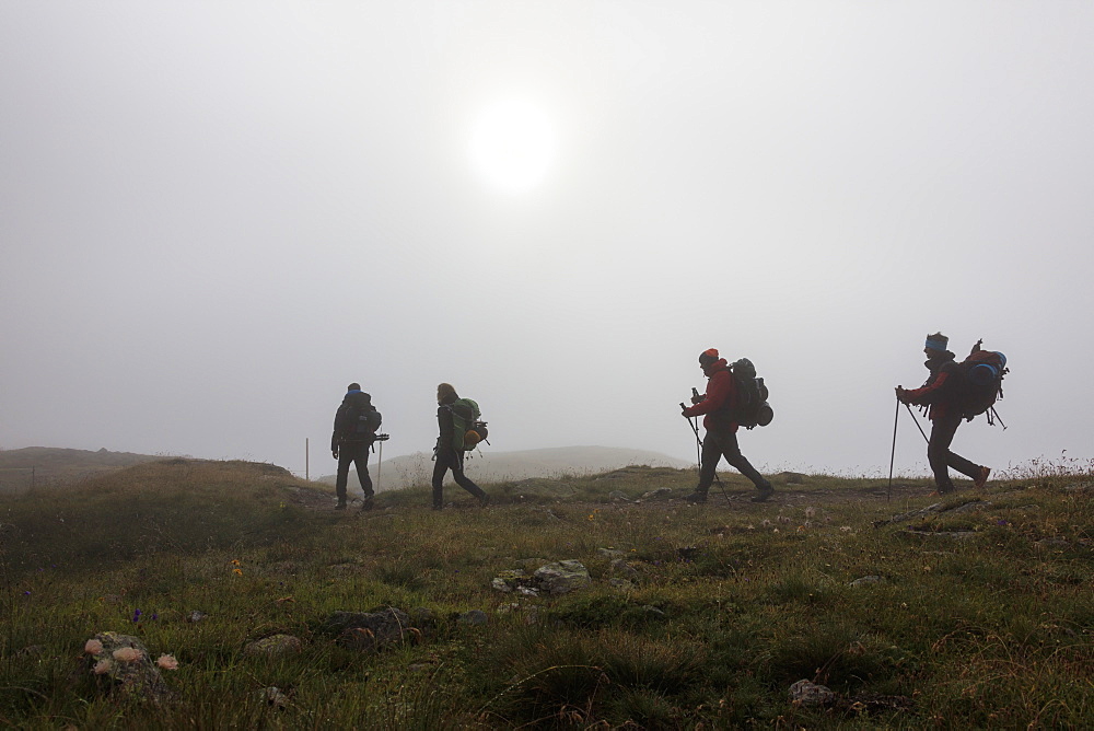 Hikers in the misty landscape at dawn, Minor Valley, High Valtellina, Livigno, Lombardy, Italy, Europe