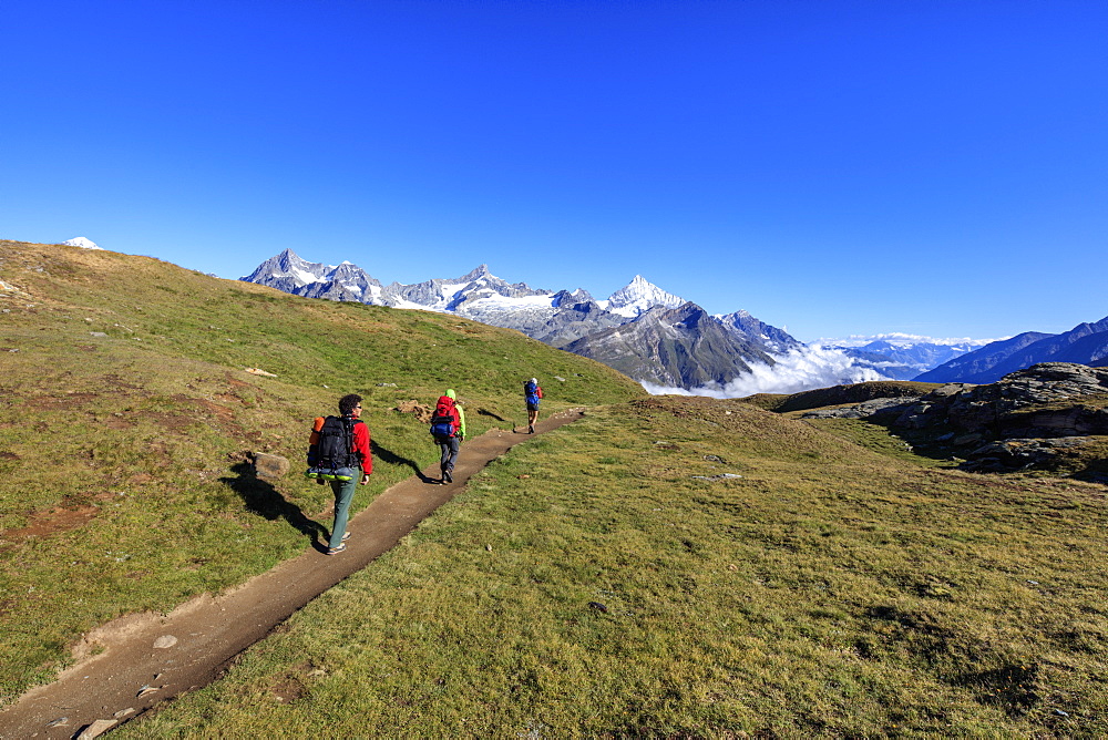 Hikers on a mountain path proceed towards the high peaks in a clear summer day, Gornergrat, Canton of Valais, Swiss Alps, Switzerland, Europe