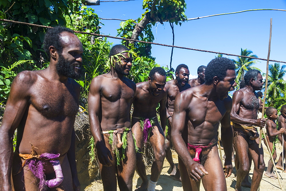 Men dancing in preparation for the Pentecost land diving, Pentecost, Vanuatu, Pacific