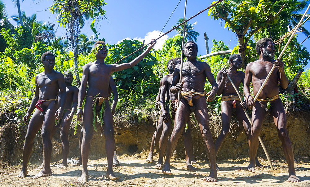 Men dancing in preparation for the Pentecost land diving, Pentecost, Vanuatu, Pacific