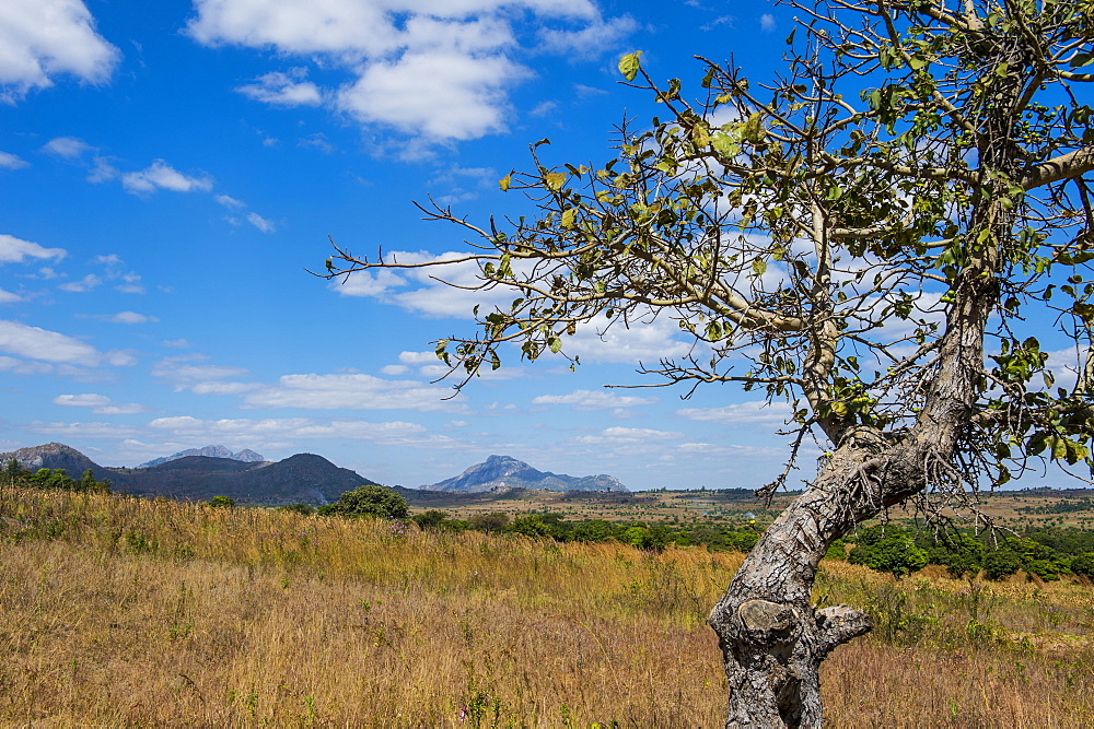 Chongoni Rock-Art Area, UNESCO World Heritage Site, Malawi, Africa