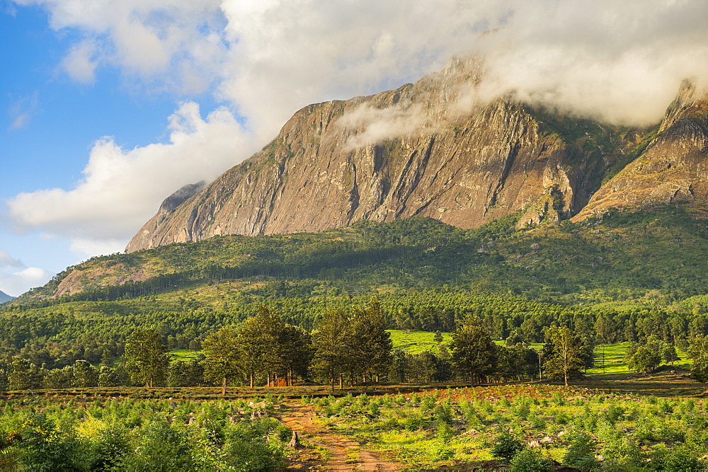 Mount Mulanje at sunset, Malawi, Africa