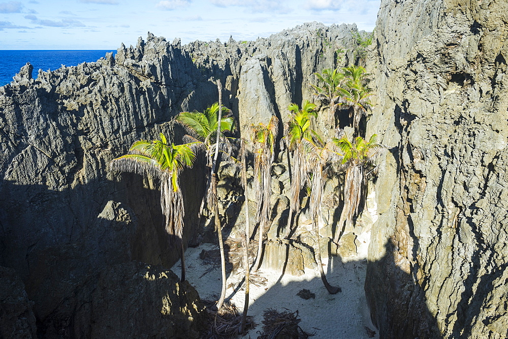 White soft sand in the Togo chasm, Niue, South Pacific, Pacific