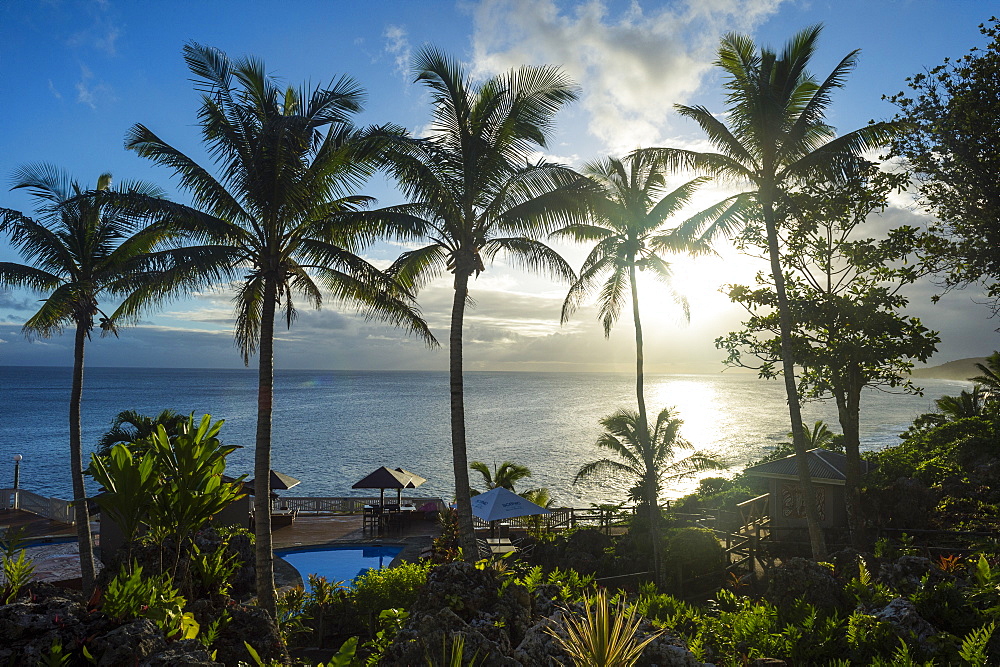 Palm trees in backlight in Niue, South Pacific, Pacific