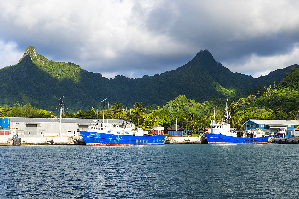 Fishing harbour of Avarua, capital of Rarotonga, Rartonga and the Cook Islands, South Pacific, Pacific