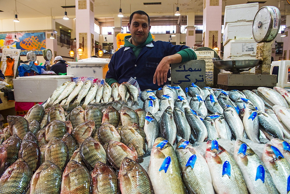 Local fisherman showing his fish, Fish Market, Kuwait City, Kuwait, Middle East