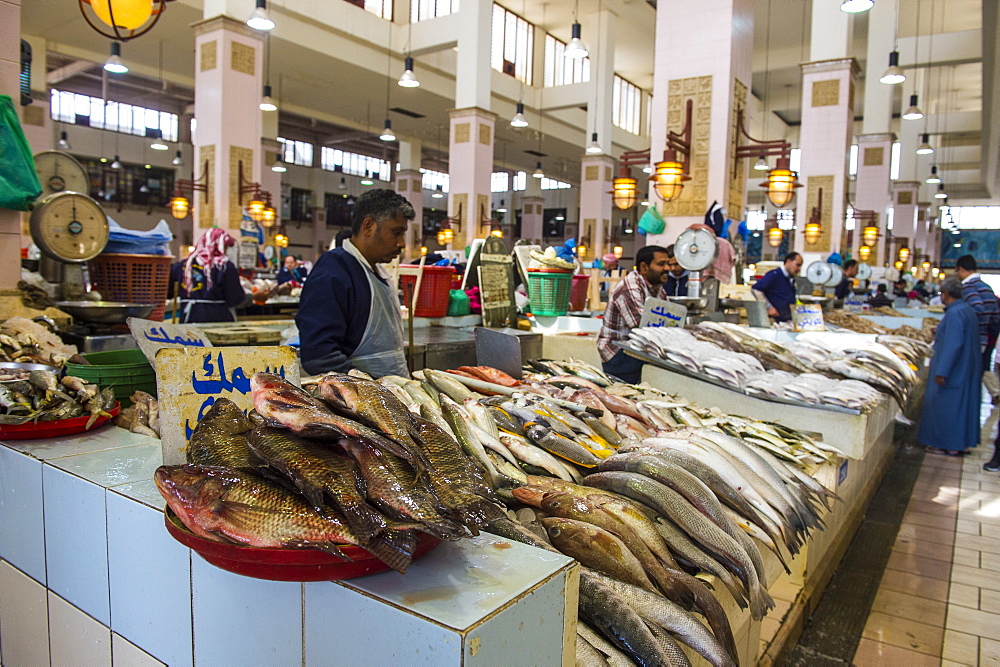 Fish for sale, Fish Market, Kuwait City, Kuwait, Middle East