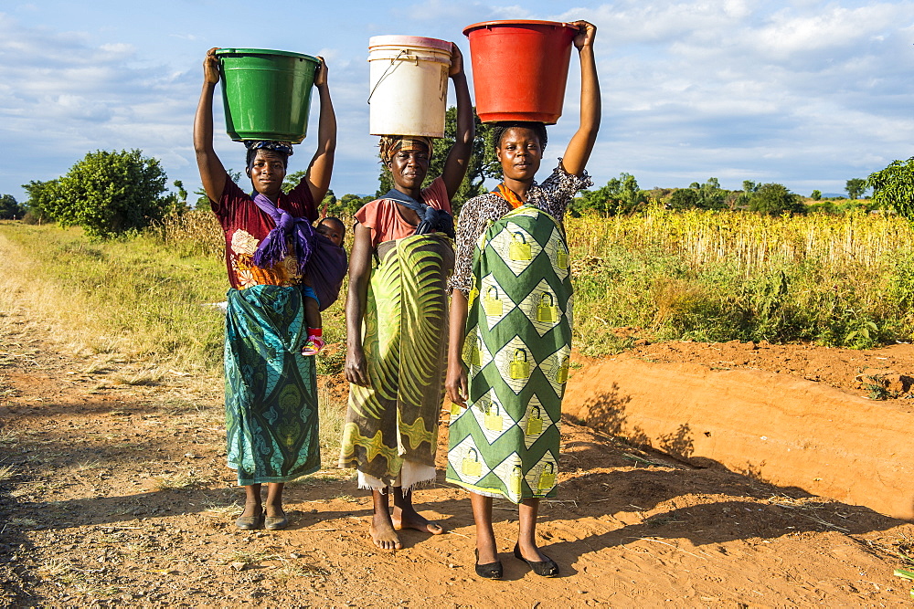 Local women carrying buckets on their heads, Malawi, Africa