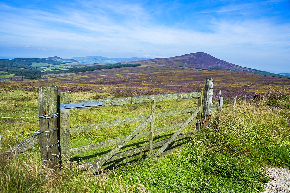 Pasture in the interior of the Isle of Man, crown dependency of the United Kingdom, Europe