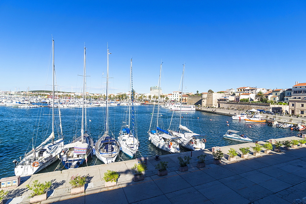 View over the boat harbour of the coastal town of Alghero, Sardinia, Italy, Mediterranean, Europe