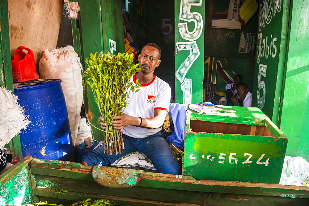 Man selling khat in the market of Hargeisa, Somaliland, Somalia, Africa