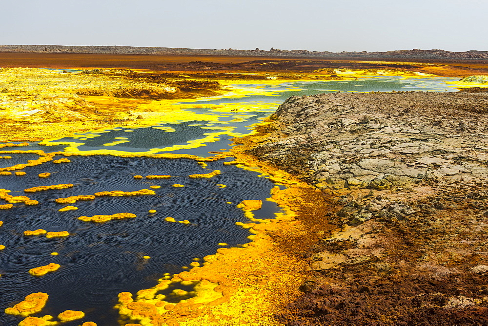 Colourful spings of acid in Dallol, hottest place on earth, Danakil depression, Ethiopia, Africa