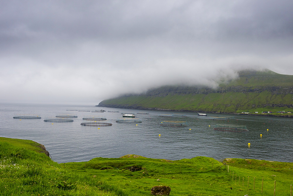 Fish farm in Estuyroy, Faroe Islands, Denmark, Europe