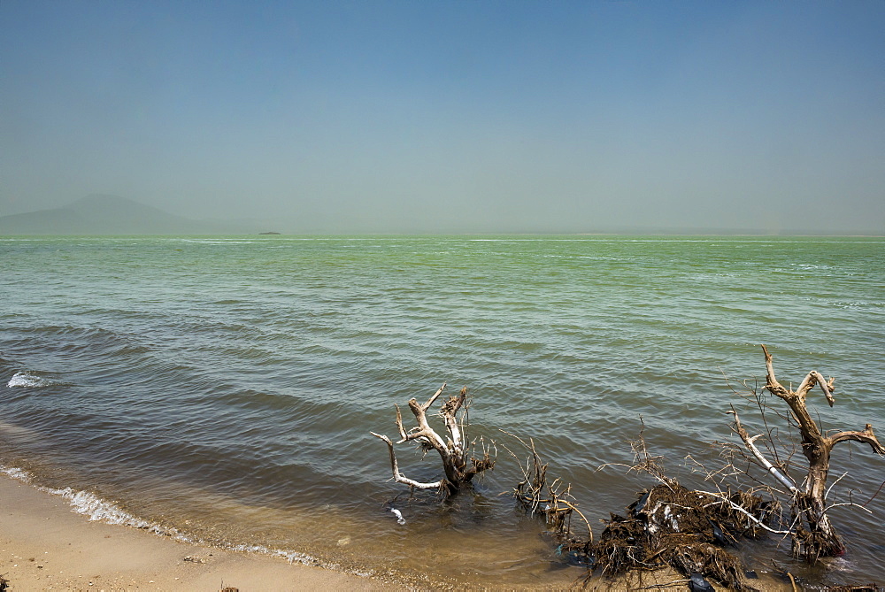 Salt Lake Afrera, Danakil depression, Ethiopia, Africa