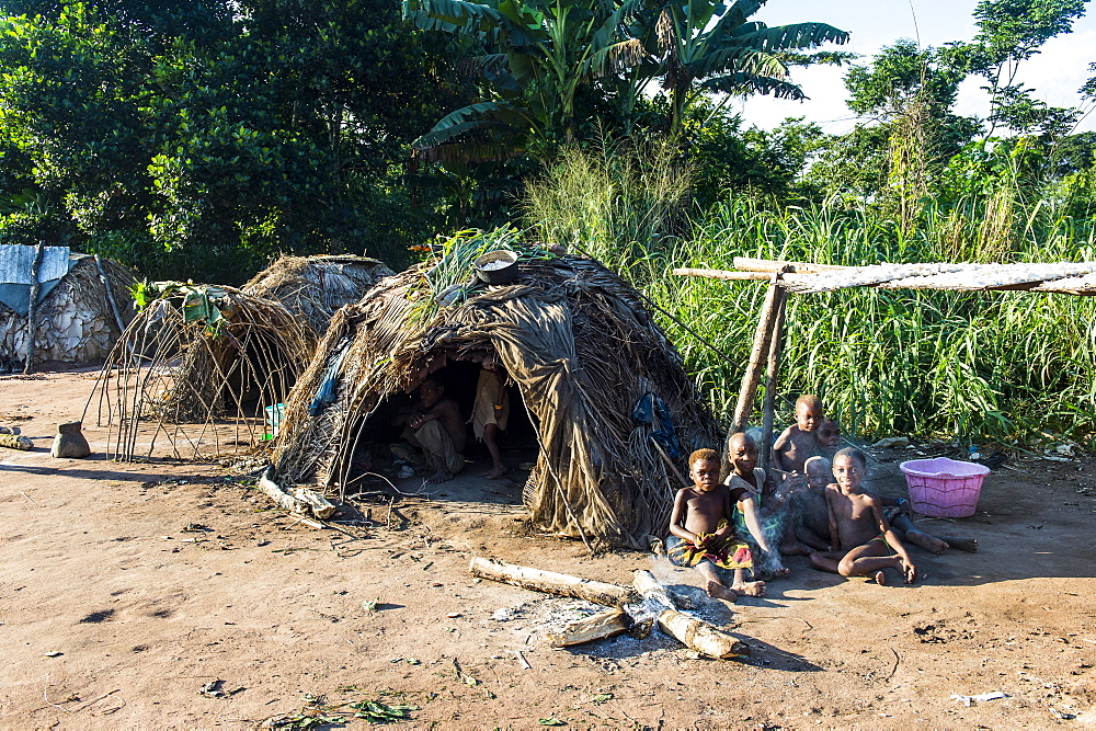 Traditional Baka pygmy village in the Dzanga-Sangha Special Reserve, UNESCO World Heritage Site, Central African Republic, Africa