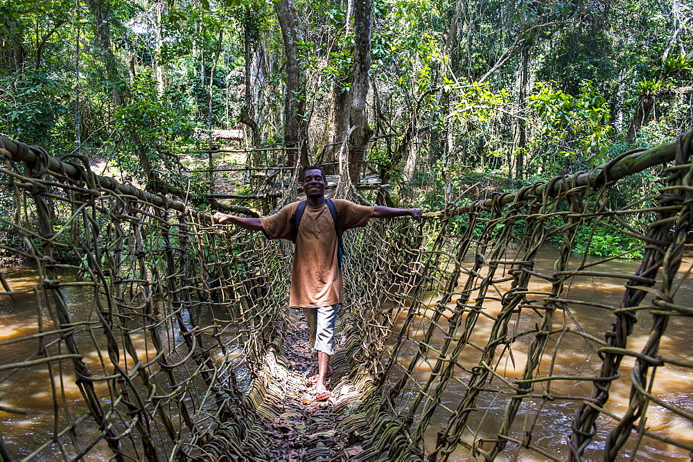 Pygmy walking across a hand made vine bridge in Dzanga-Sangha Park, UNESCO World Heritage Site, Central African Republic, Africa