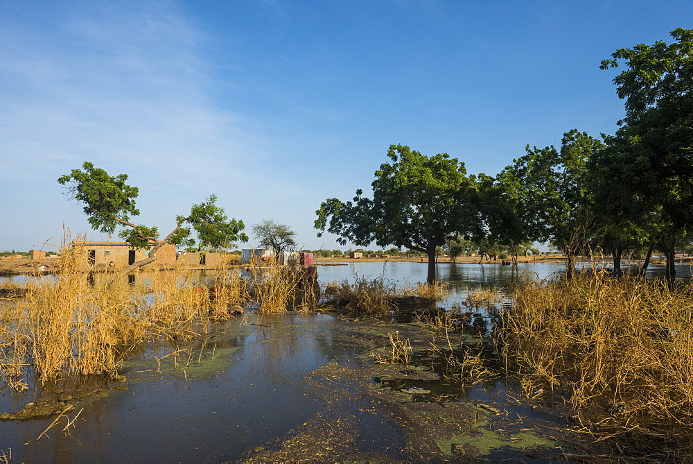 Outflows of the Chari River, Gaoui, near N'Djamena, Chad, Africa