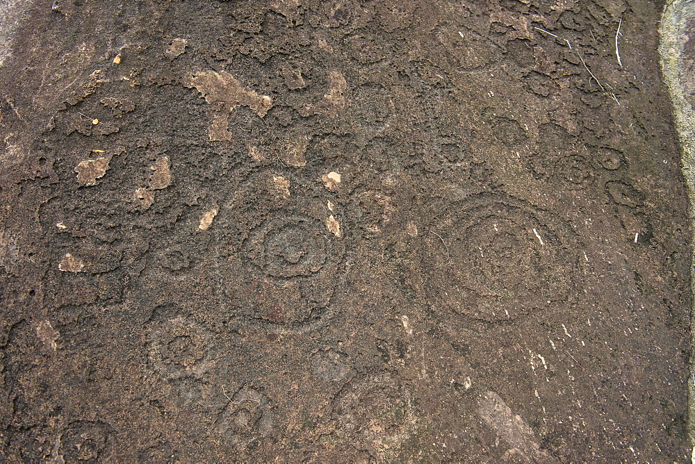 Prehistoric rock carvings in the Lope National Park, UNESCO World Heritage Site, Gabon, Africa