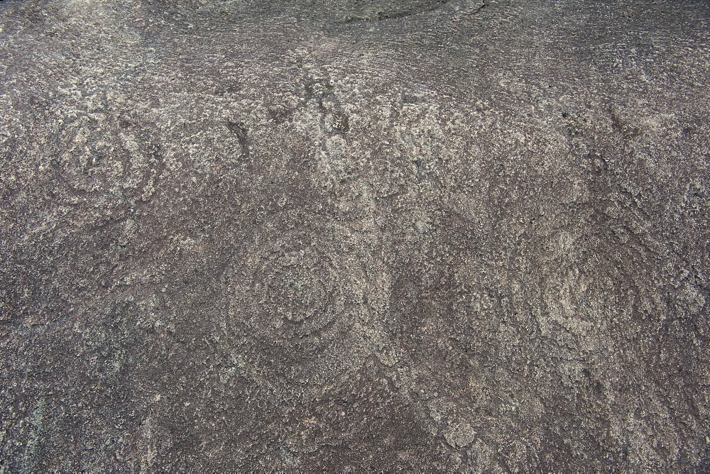 Prehistoric rock carvings in the Lope National Park, UNESCO World Heritage Site, Gabon, Africa