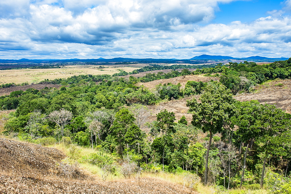 Patches of rainforest in the savannah of the Lope National Park, UNESCO World Heritage Site, Gabon, Africa