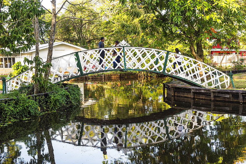 Botanical garden, Georgetown, Guyana, South America