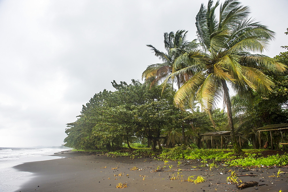 Black volcanic sand on six mile beach near Limbe, southern Cameroon, Africa