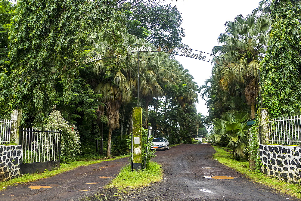 The Botanical Gardens of Limbe, southern Cameroon, Africa