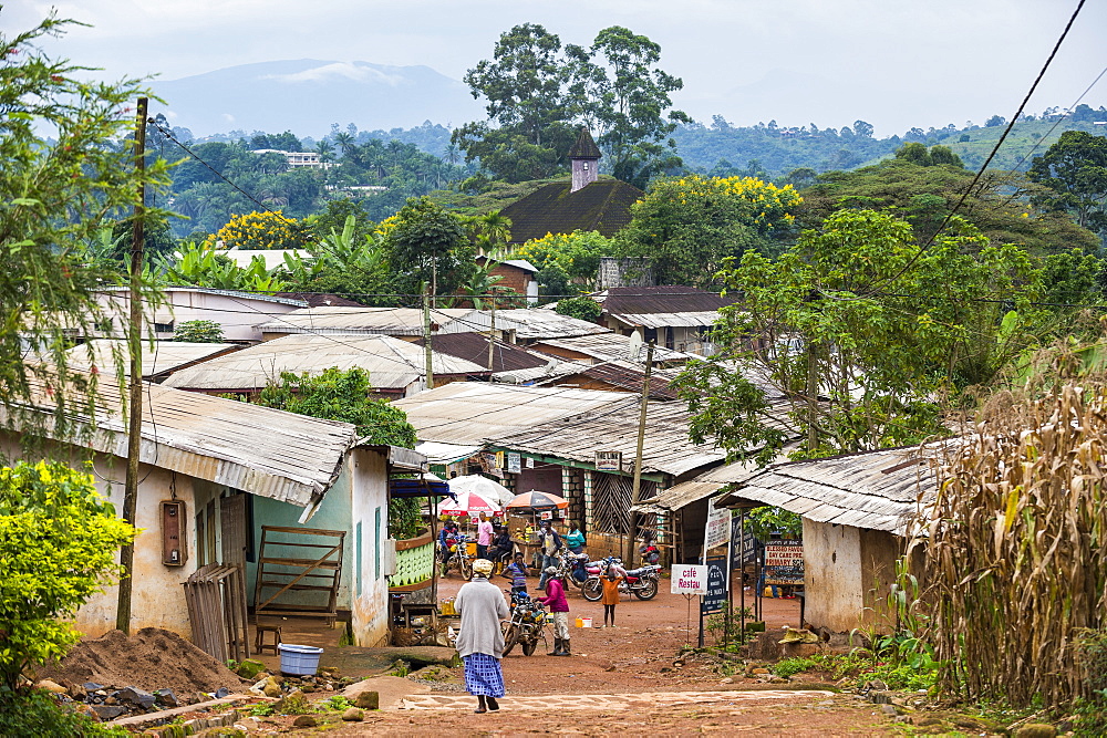 View over the village of Bafut, Cameroon, Africa