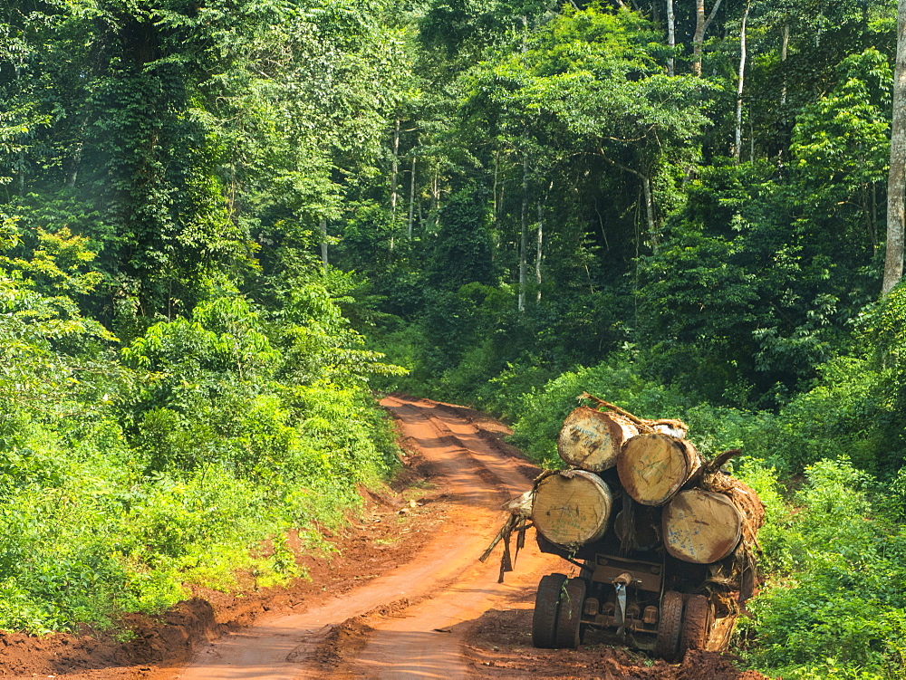 Logging truck in the jungle, Yokadouma, Eastern Cameroon, Africa