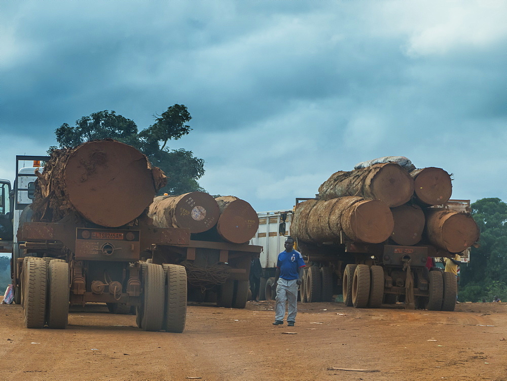 Logging trucks, deep in the jungle, Cameroon, Africa