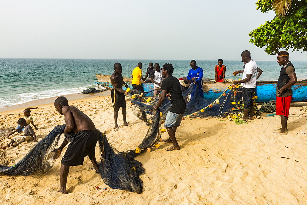 Local fishermen pulling their nets on a beach in Robertsport, Liberia, West Africa, Africa