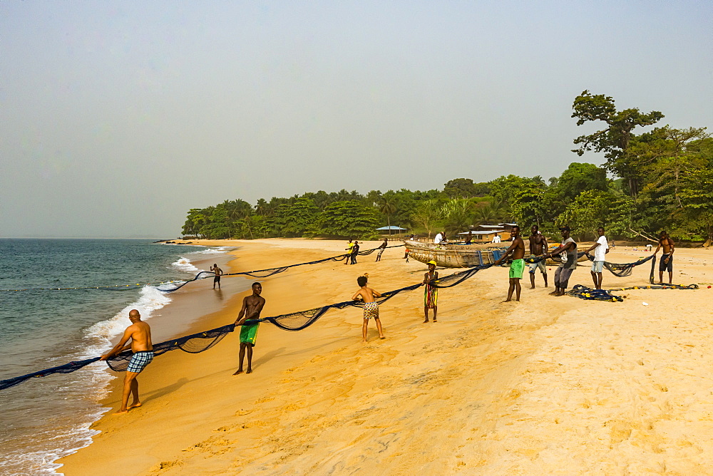 Local fishermen pulling their nets on a beach in Robertsport, Liberia, West Africa, Africa