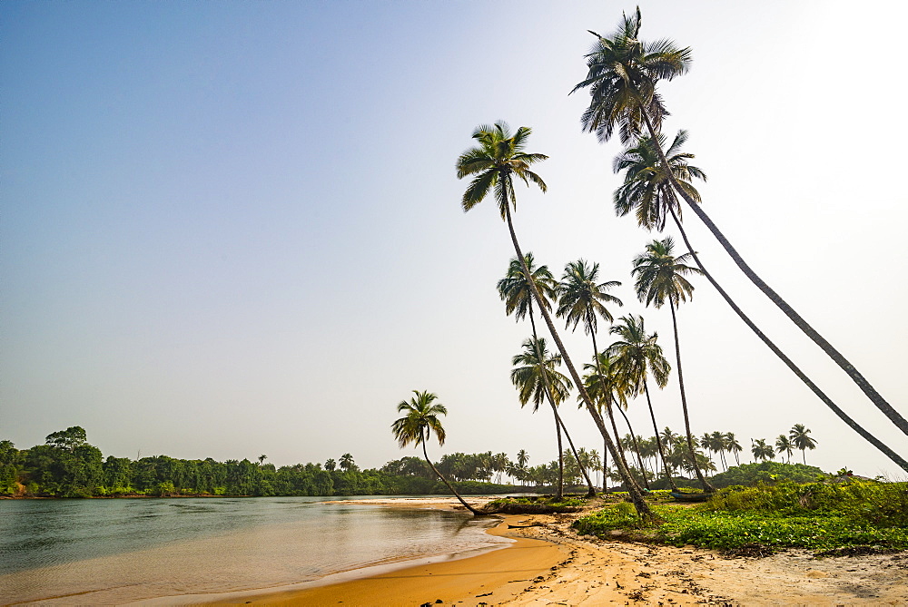 River flowing in the ocean south of Buchanan, Liberia, West Africa, Africa