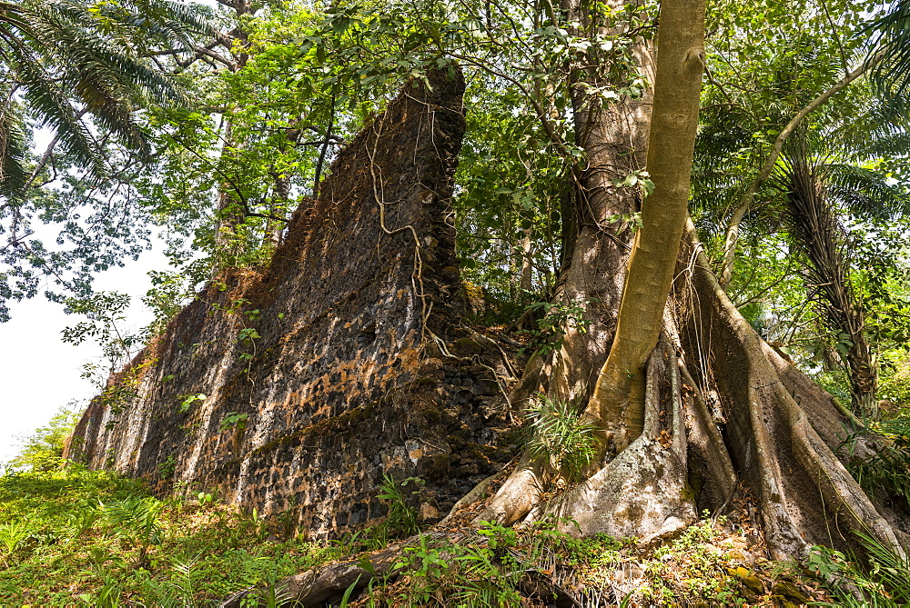 Old ruins of the former slave colony on Bunce island, Sierra Leone, West Africa, Africa