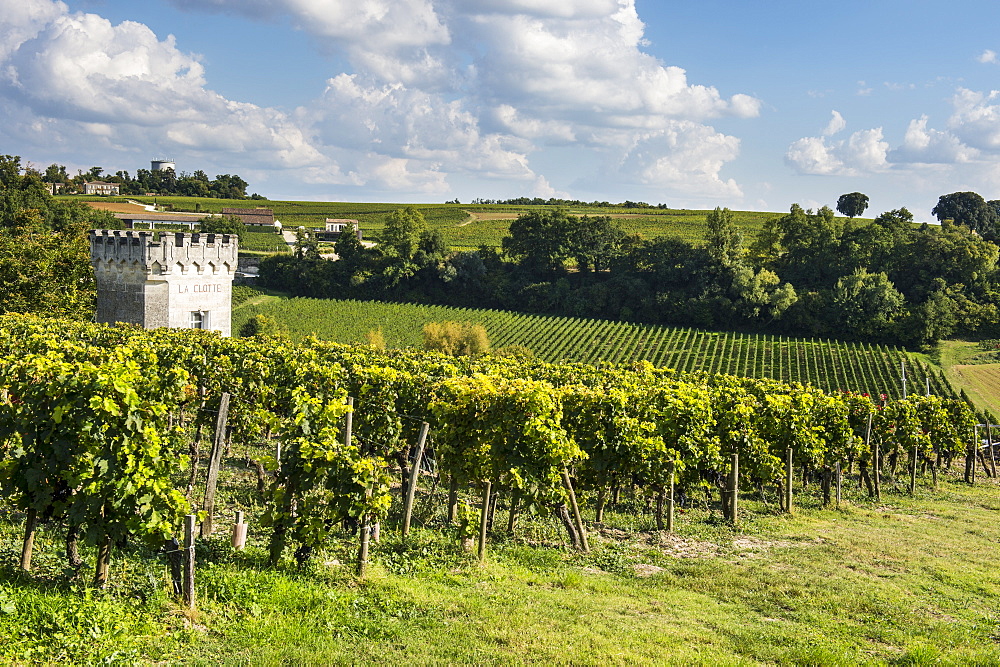 View over the vineyards, UNESCO World Heritage Site, St. Emilion, Gironde, Aquitaine, France, Europe