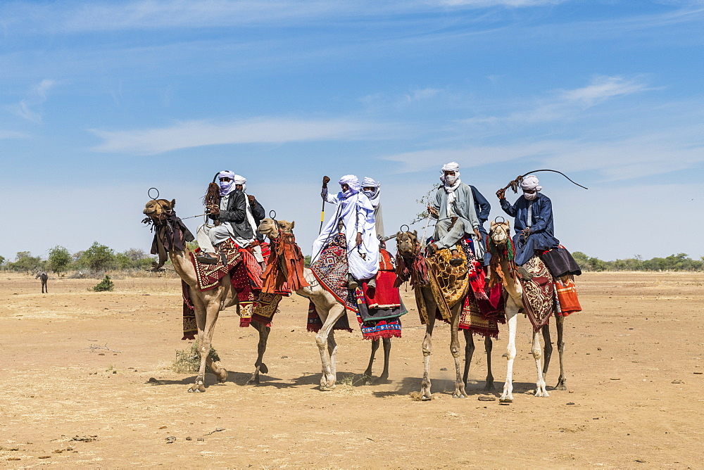 Colourful camel riders at a tribal festival, Sahel, Chad, Africa