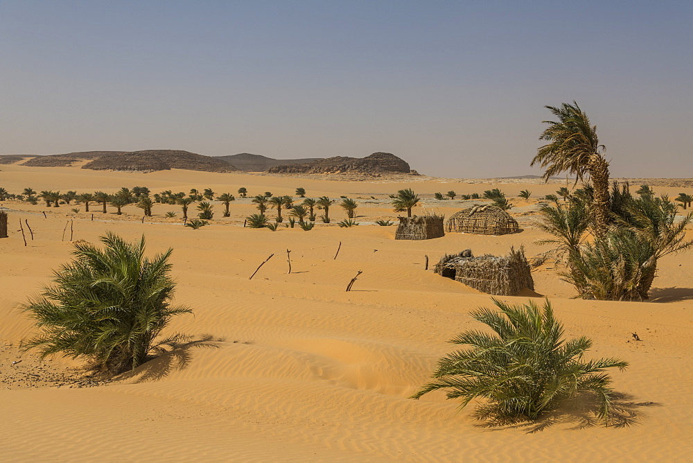 Little village in the desert between Ounianga Kebir and Faya, northern Chad, Africa