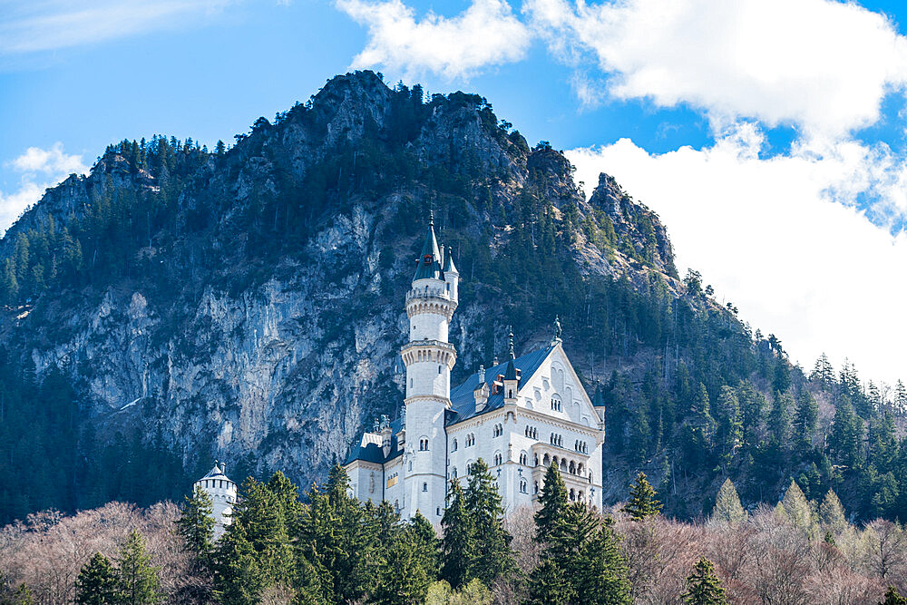 Castle Neuschwanstein, with the Alps behind, Schwangau, Bavaria, Germany, Europe