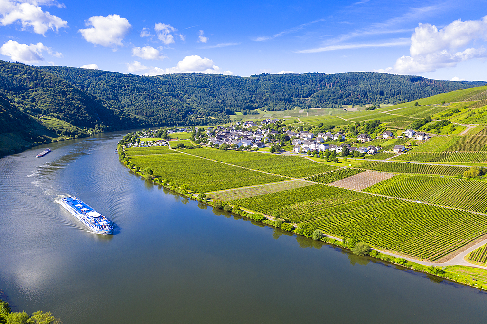 River cruise ship on the Moselle at Mehring, Moselle valley, Rhineland-Palatinate, Germany, Europe