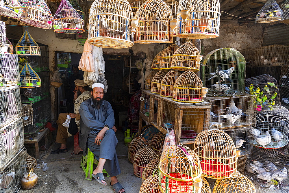 Birds for sale, Bird Street, Kabul, Afghanistan, Asia