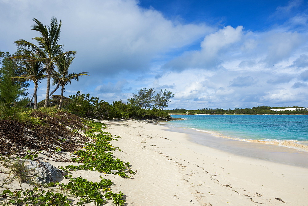 Turtle beach, St. David's island, Bermuda, North America