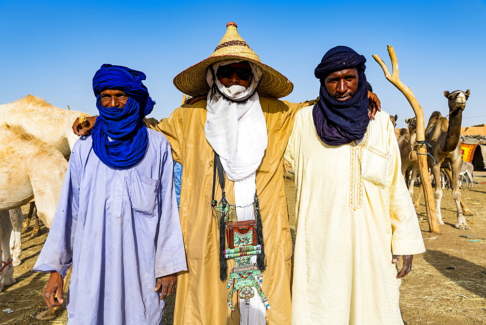 Tuaregs at the animal market, Agadez, Niger, West Africa, Africa