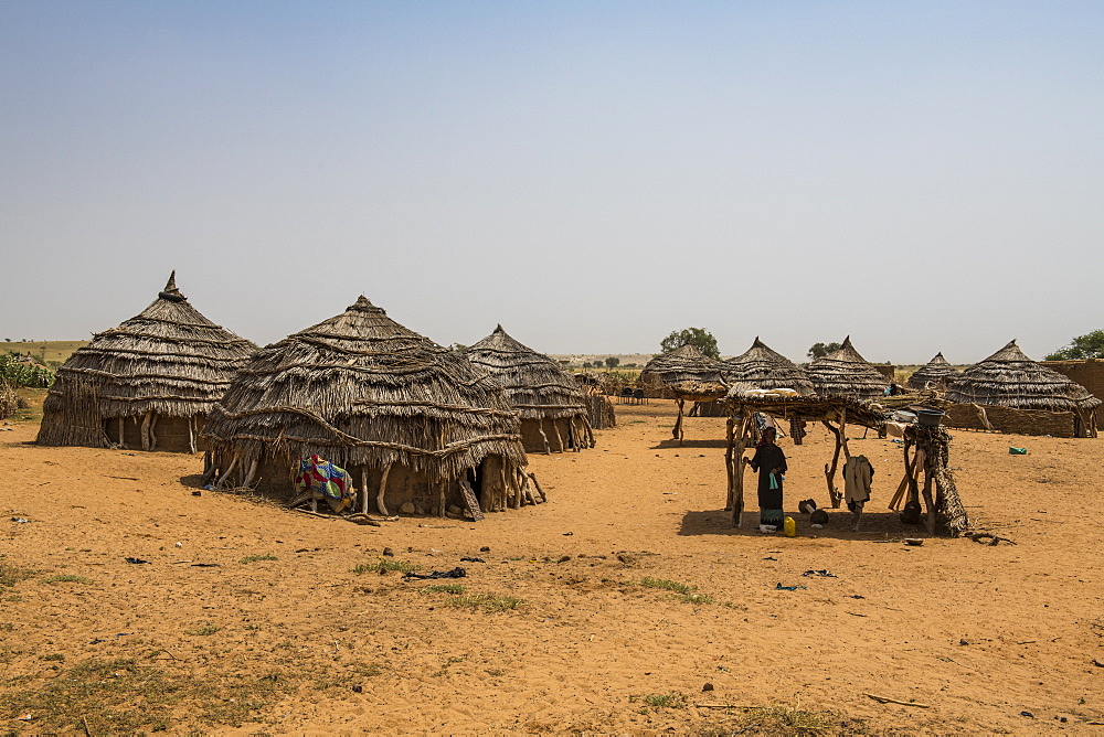 Traditional Hausa village, southern Niger, West Africa, Africa