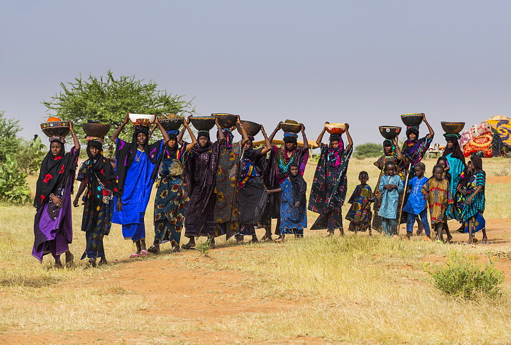 Local women arriving on the Gerewol festival, courtship ritual competition among the Wodaabe Fula people, Niger, West Africa, Africa