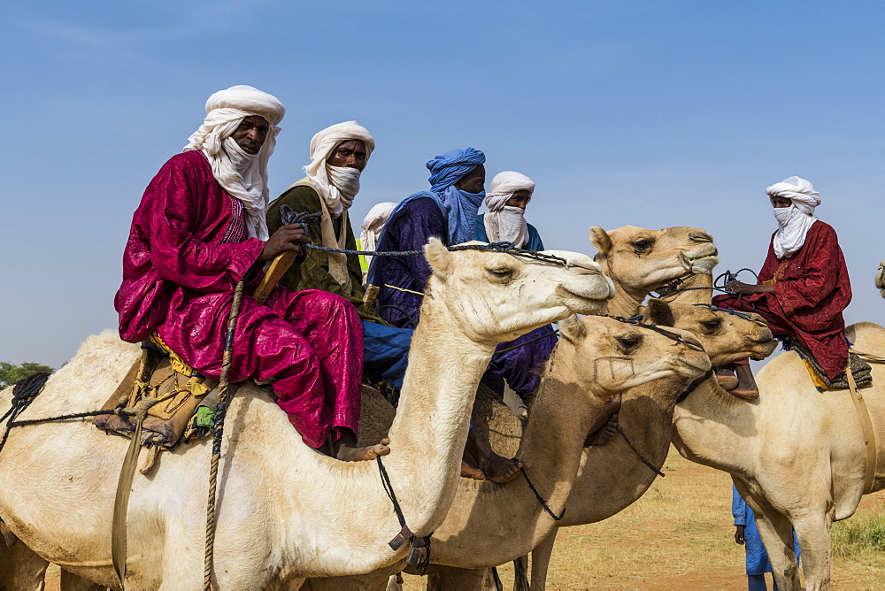 Tuaregs on camels, Gerewol festival, courtship ritual competition among the Wodaabe Fula people, Niger, West Africa, Africa