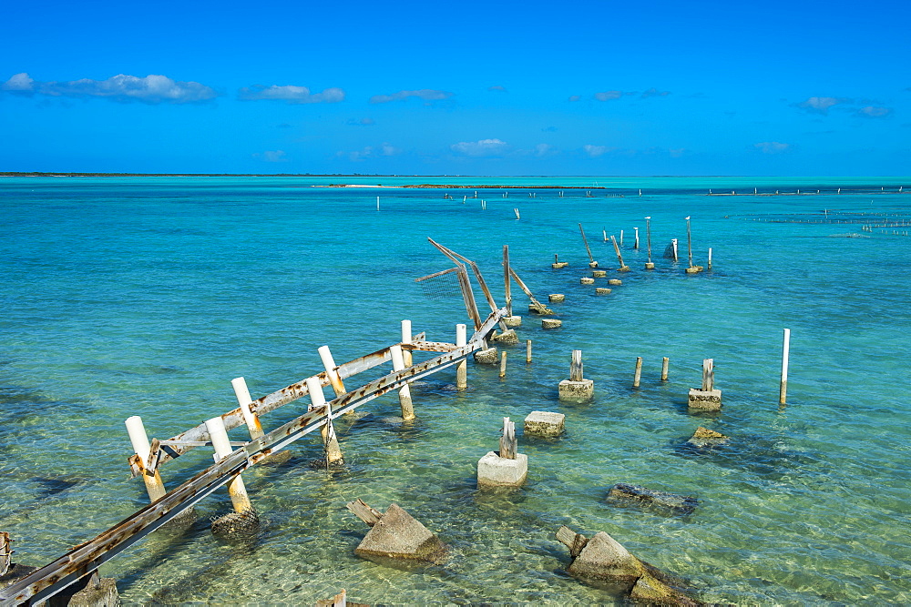 Caicos conch farm, Providenciales, Turks and Caicos, Caribbean, Central America