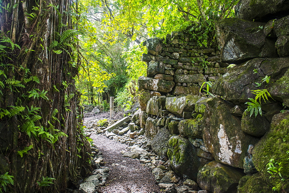 Lelu (Leluh) archaeological site, Kosrae, Federated States of Micronesia, South Pacific