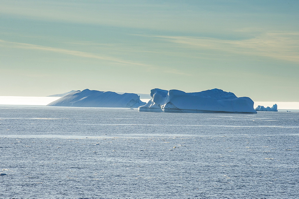 Icebergs floating in Hope Bay, Antarctica, Polar Regions